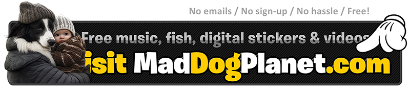 Download free Royalty Free music! www.MadDogPlanet.com